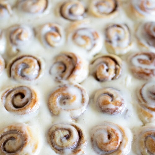 https://www.thevanillabeanblog.com/wp-content/uploads/2023/11/mini-cinnamon-rolls-7-500x500.jpg