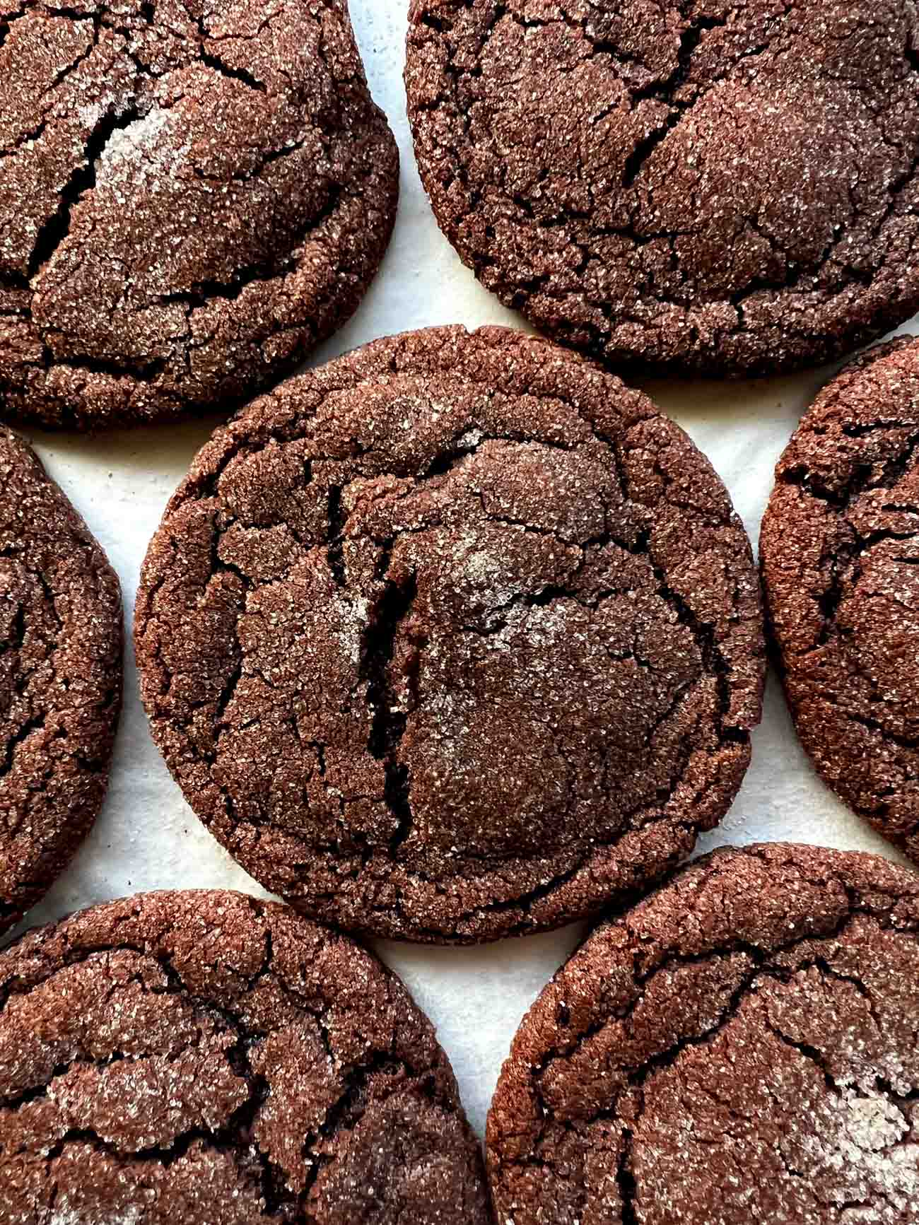 chocolate sugar cookies on parchment paper