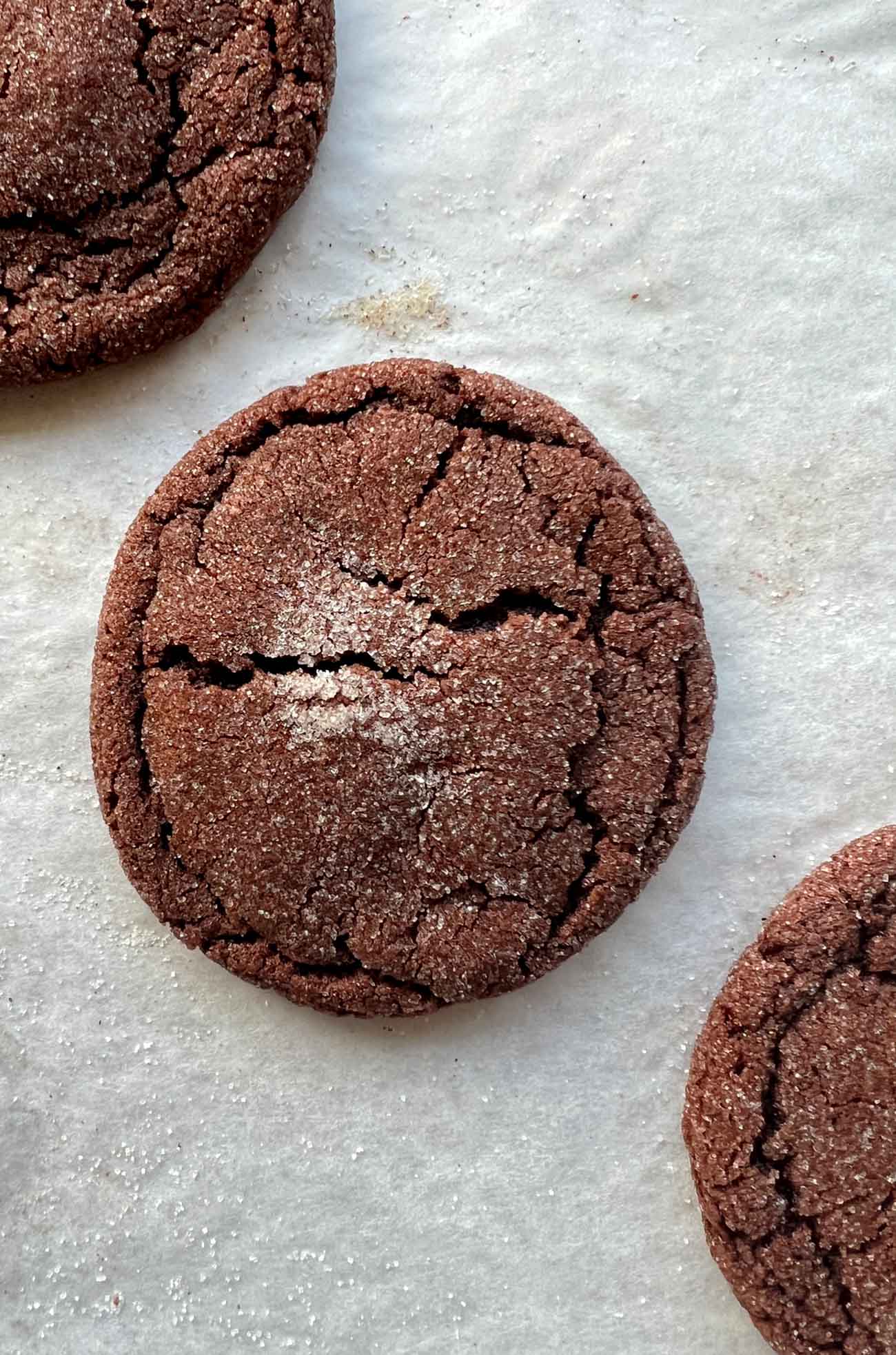 chocolate sugar cookies on parchment paper