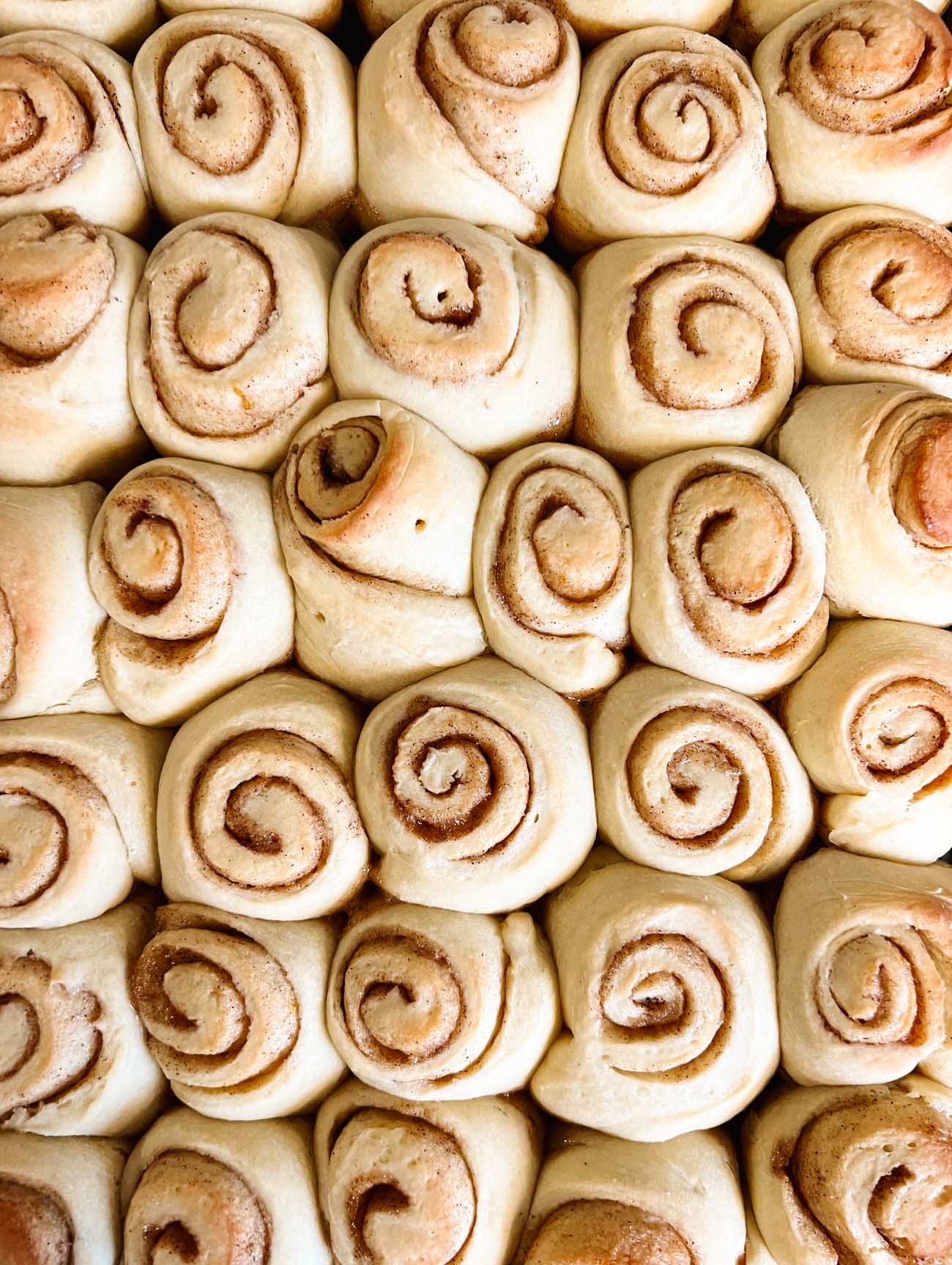 mini cinnamon rolls baked in a pan